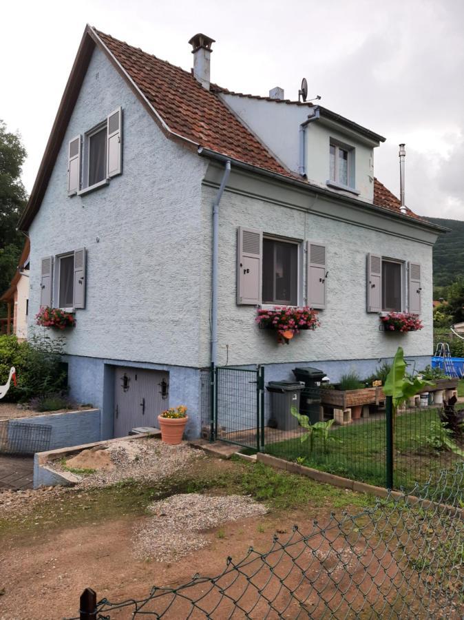 Gite Les Chiwawas D'Alsace Kaysersberg-Vignoble Luaran gambar
